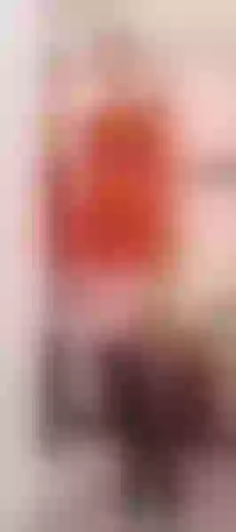 Live sex webcam photo for SuzzySun #7859395