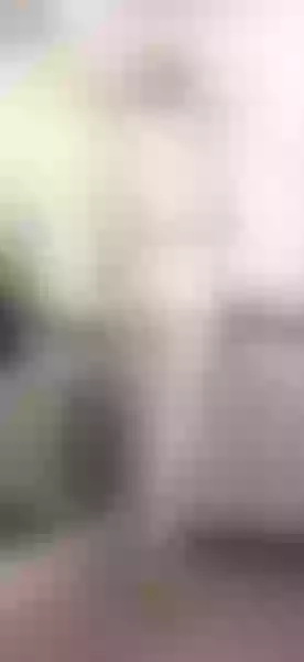 Live sex webcam photo for SuzzySun #7859376