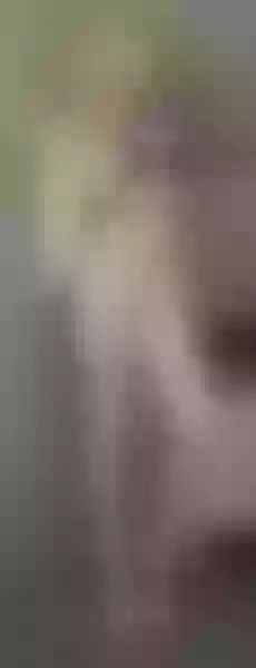 Live sex webcam photo for SuzzySun #7858976