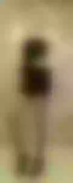 Live sex webcam photo for SuzzySun #7859284