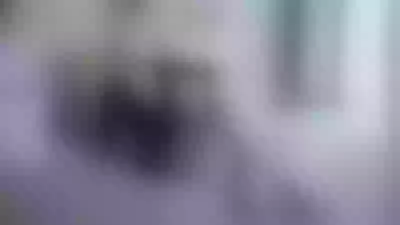 Live sex webcam photo for SuzzySun #7858896