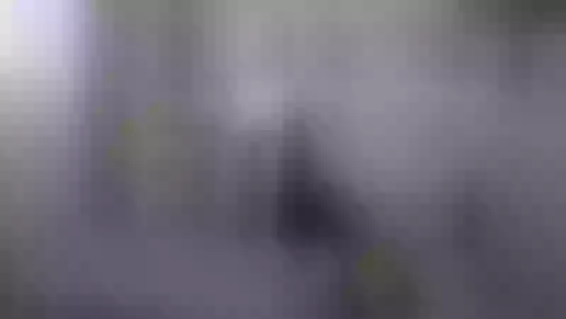 Live sex webcam photo for SuzzySun #7858878