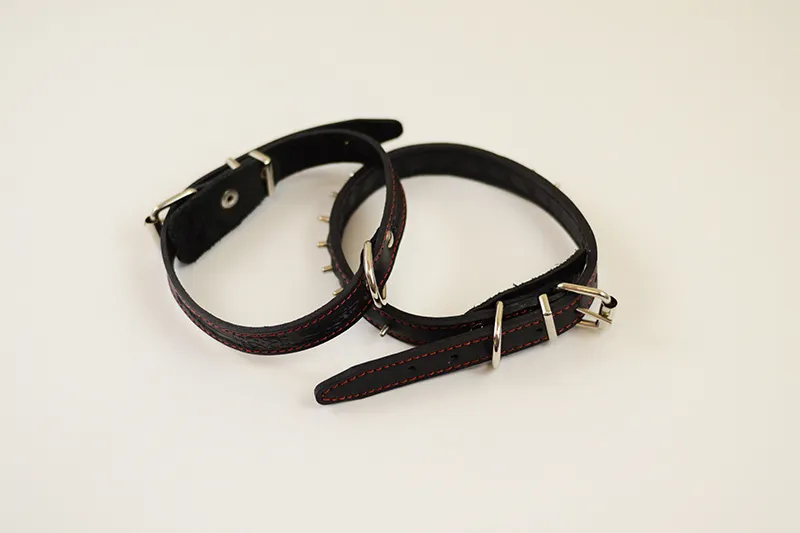 Live sex webcam photo for VermilionThorn #1852136