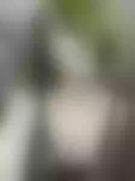 Live sex webcam photo for MadMoon #6197406