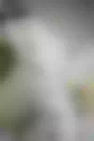 Live sex webcam photo for VirtualDream #2110237