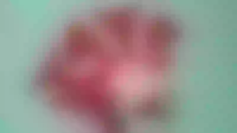 Live sex webcam photo for LolipopLorena #7145232