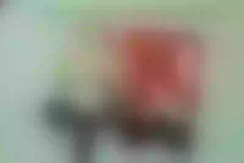 Live sex webcam photo for LolipopLorena #7145231