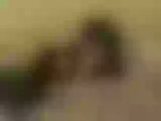 Live sex webcam photo for AliviaBlaze #8005538