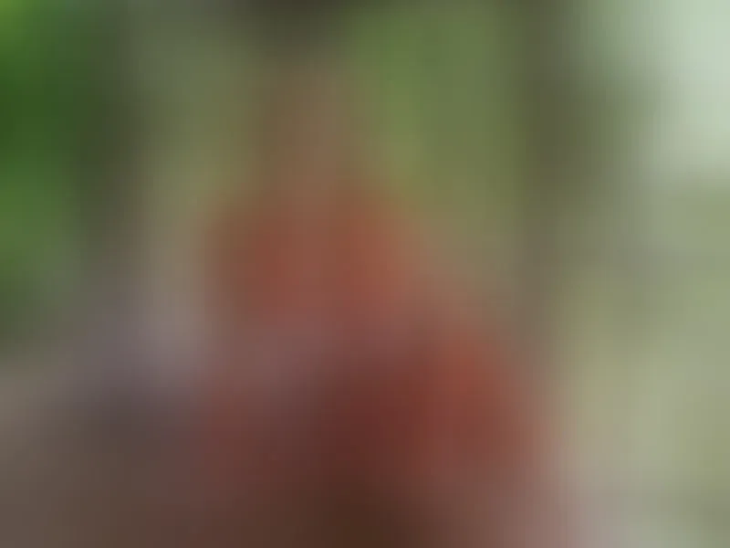 Live sex webcam photo for LisaKlark #7813065