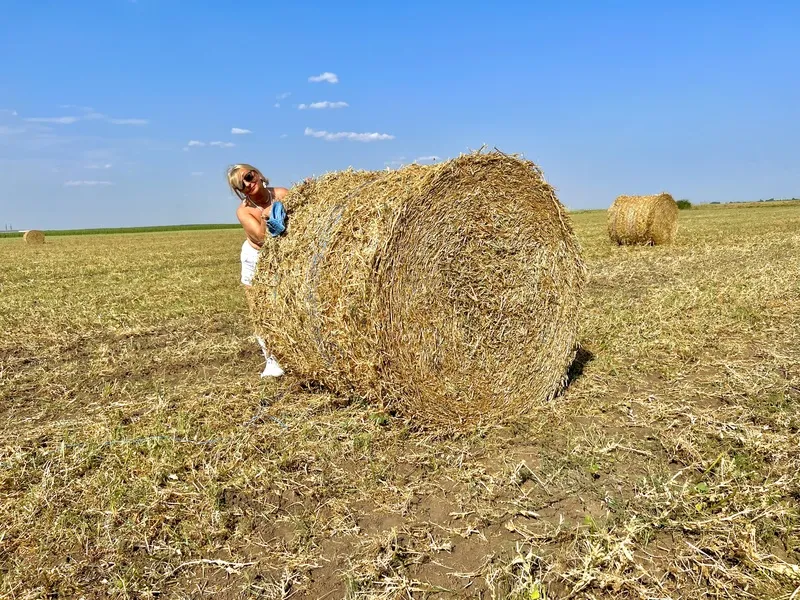 Live sex webcam photo for KateRogers #5878302