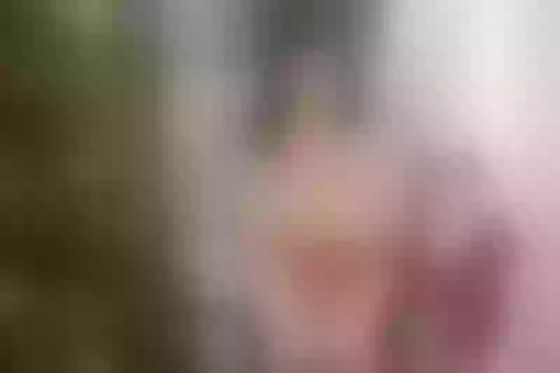 Live sex webcam photo for EllieSweet #1866483