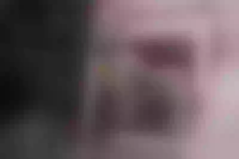Live sex webcam photo for JoyfulAdalyn #1831071