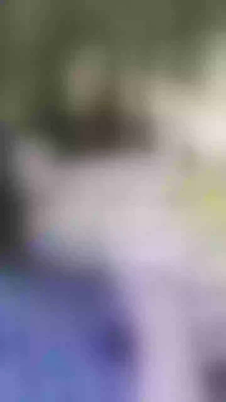Live sex webcam photo for PamelaAssHorny #8359651