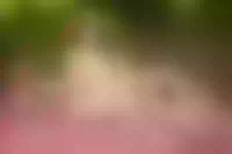 Live sex webcam photo for PamelaAssHorny #8359545