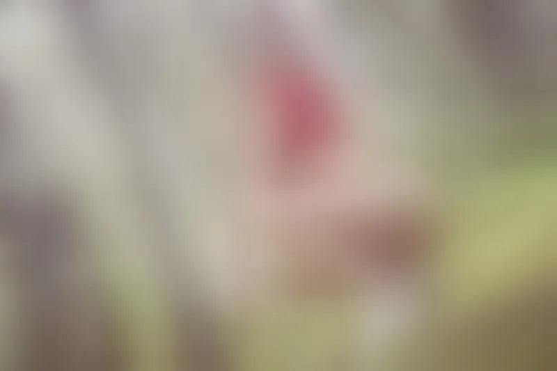 Live sex webcam photo for AlissonOwens #7887854