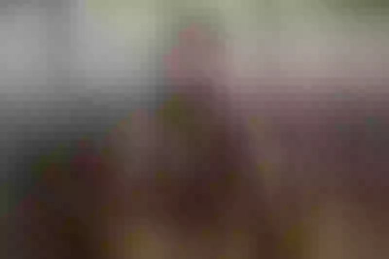 Live sex webcam photo for GwenStephaniex #1946558