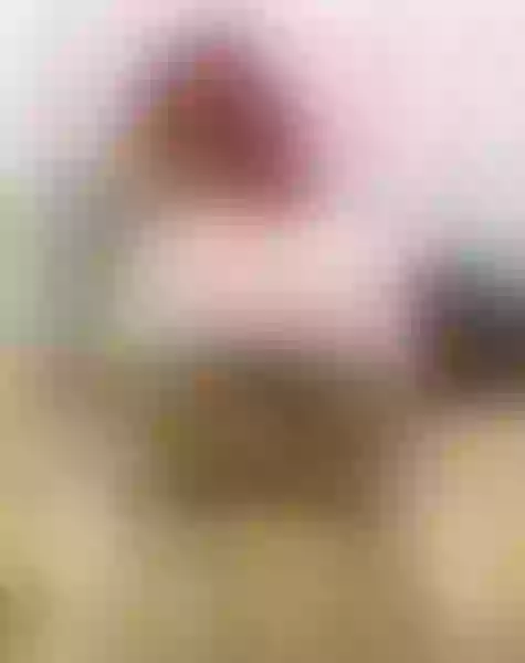 Live sex webcam photo for yelitza #7303818