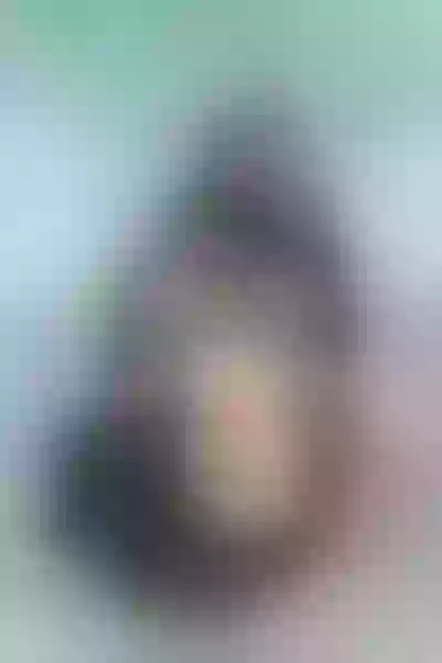 Live sex webcam photo for EvaDelightful #3444669