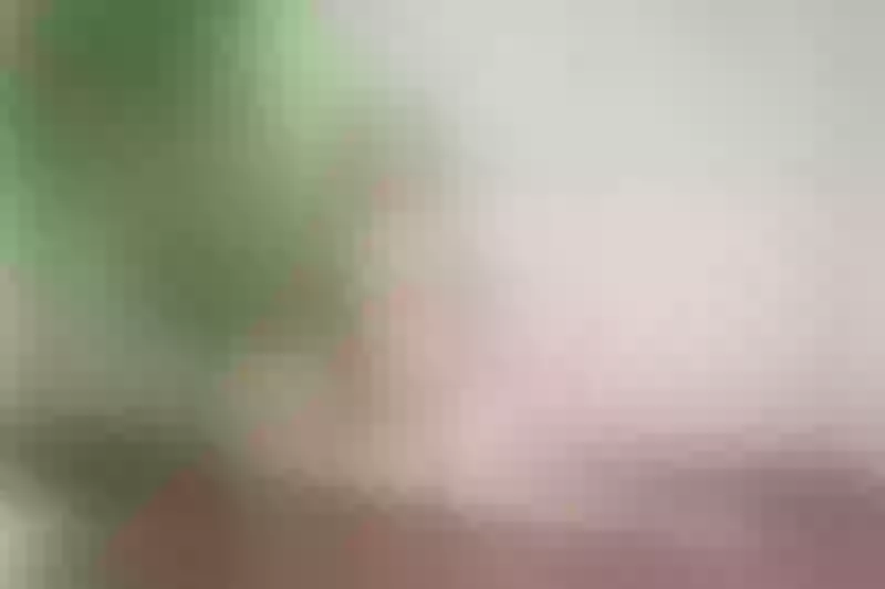 Live sex webcam photo for MeganSlender #1794471