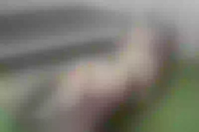 Live sex webcam photo for MeganSlender #1794466