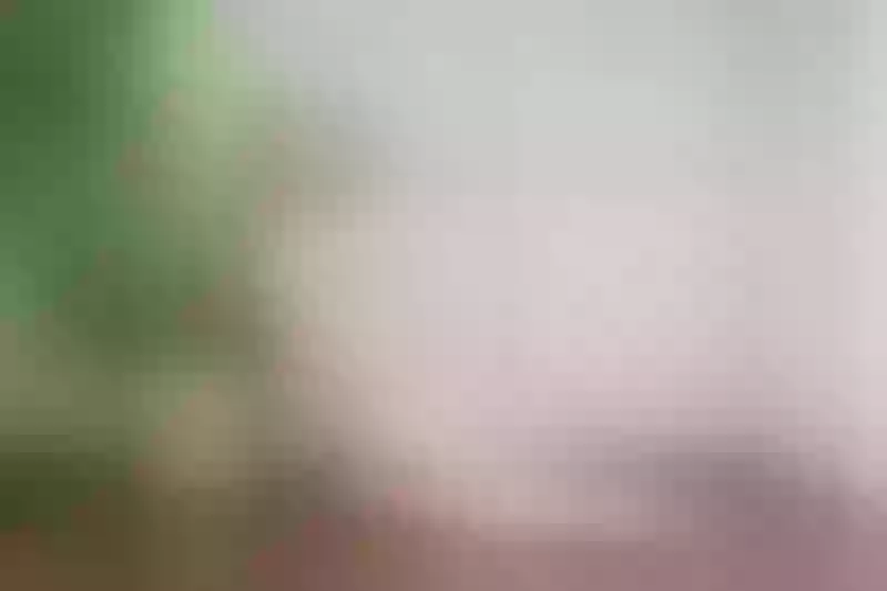 Live sex webcam photo for MeganSlender #1794475