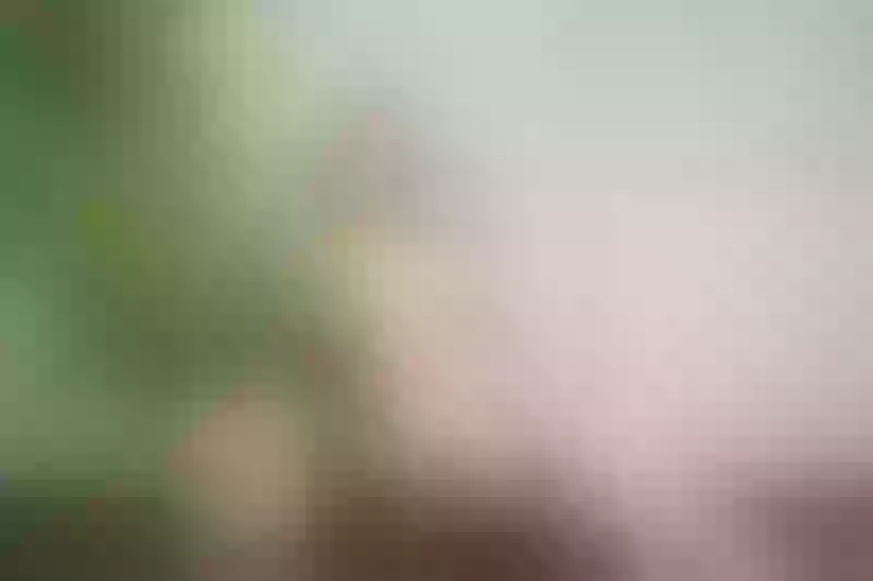 Live sex webcam photo for MeganSlender #1794473