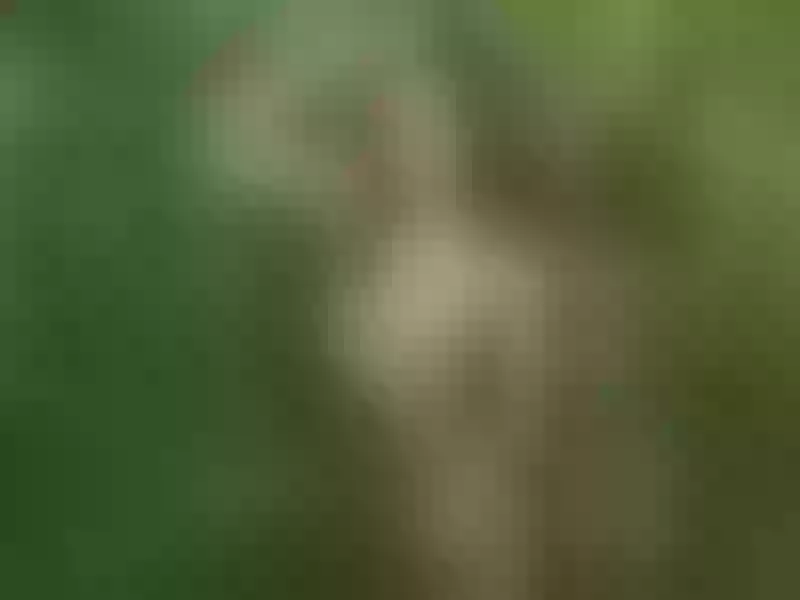 Live sex webcam photo for MeganSlender #1794130