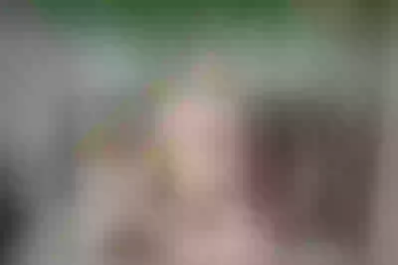 Live sex webcam photo for MeganSlender #1794451