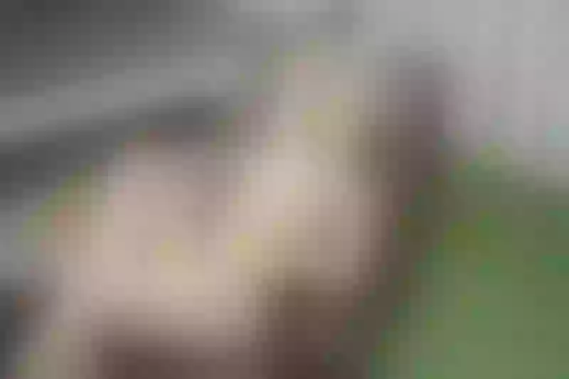 Live sex webcam photo for MeganSlender #1794468