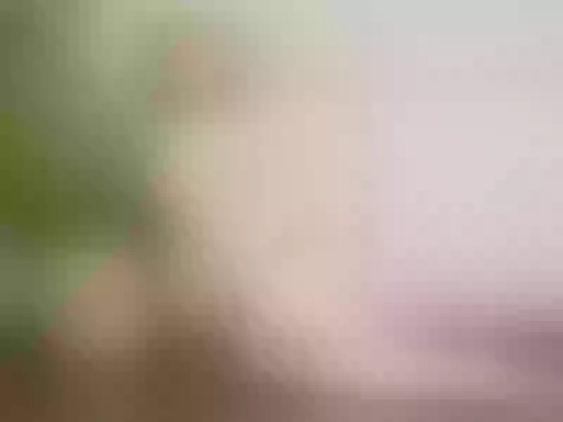 Live sex webcam photo for MeganSlender #1794187