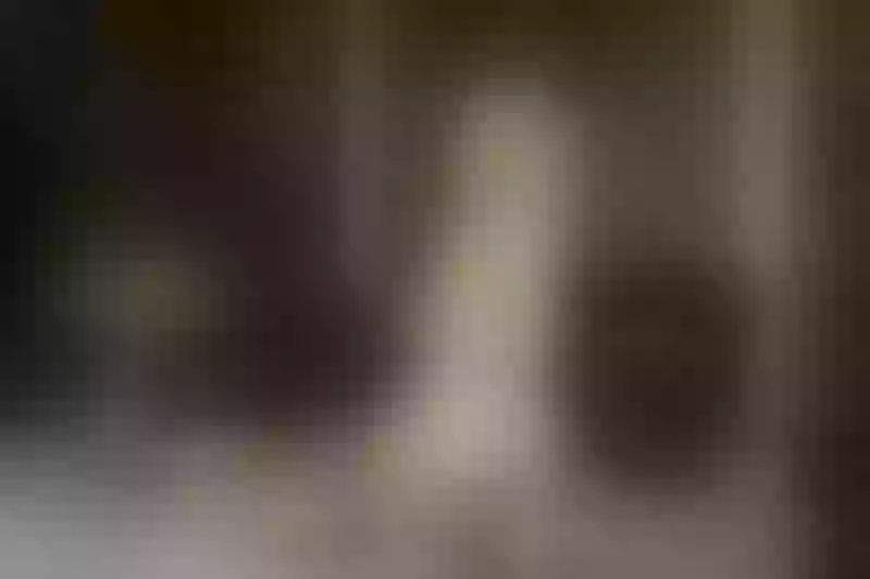 Live sex webcam photo for MeganSlender #1794302