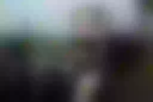 Live sex webcam photo for CaytlenKariie #7423558