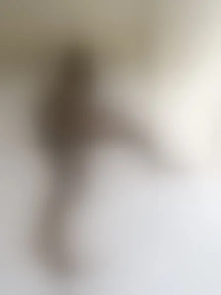 Live sex webcam photo for minnie #7462232