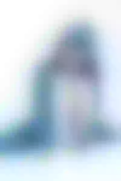 Live sex webcam photo for MeganTwerk #7112529