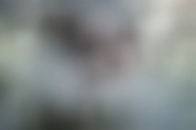 Live sex webcam photo for KathleenStreams #7802951