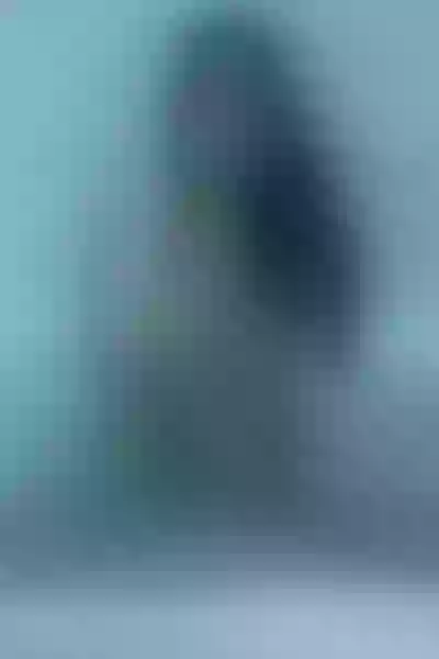 Live sex webcam photo for PamelaGibbs #1716285