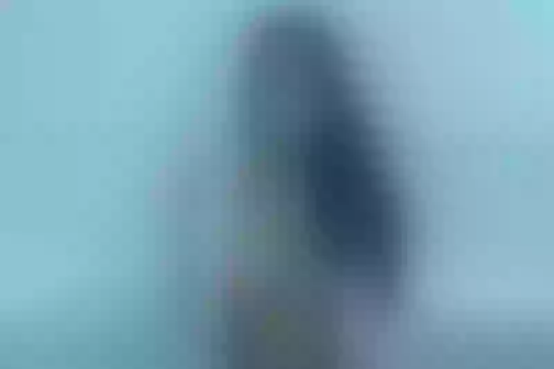Live sex webcam photo for PamelaGibbs #1716284