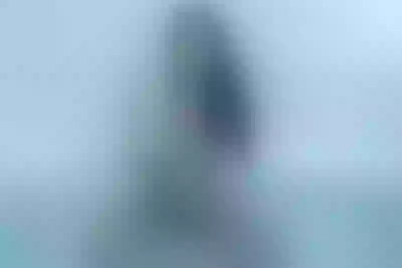 Live sex webcam photo for PamelaGibbs #1716283