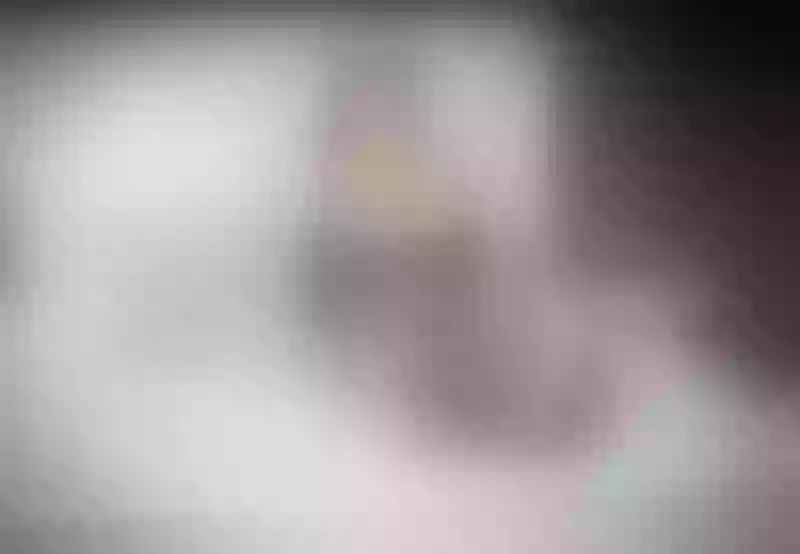 Live sex webcam photo for SoniaRides #2332902