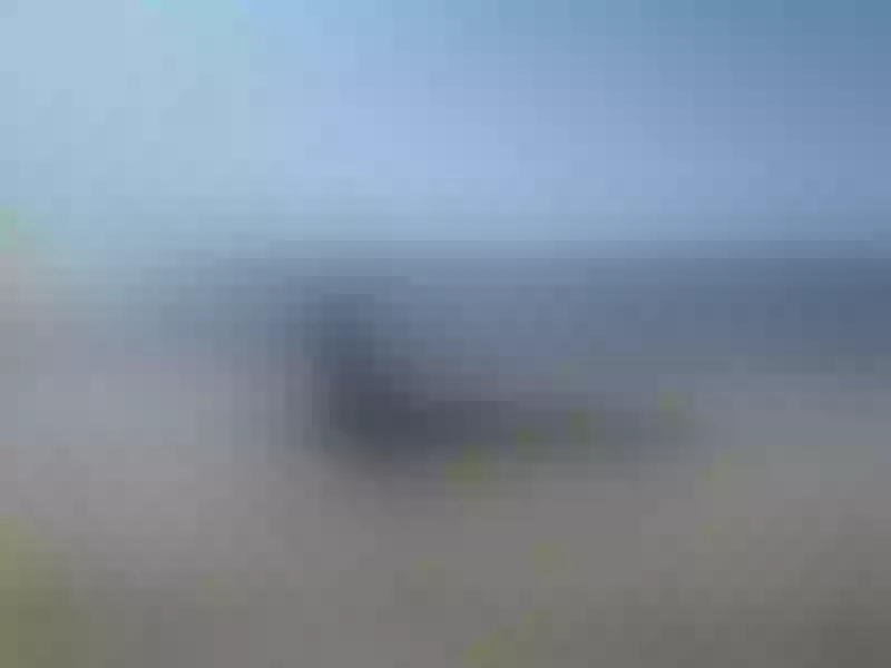 Live sex webcam photo for Keyla_Diamond #3318888