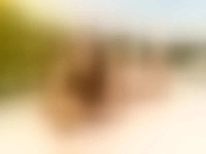 Live sex webcam photo for BonAppetit #8436507