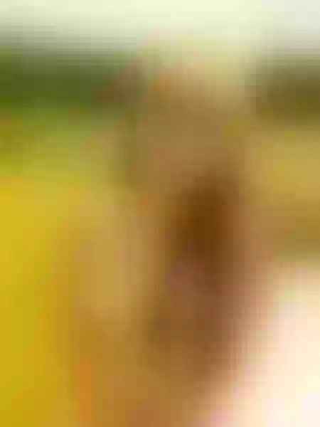 Live sex webcam photo for BonAppetit #5522452