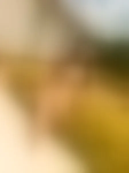 Live sex webcam photo for BonAppetit #8436508