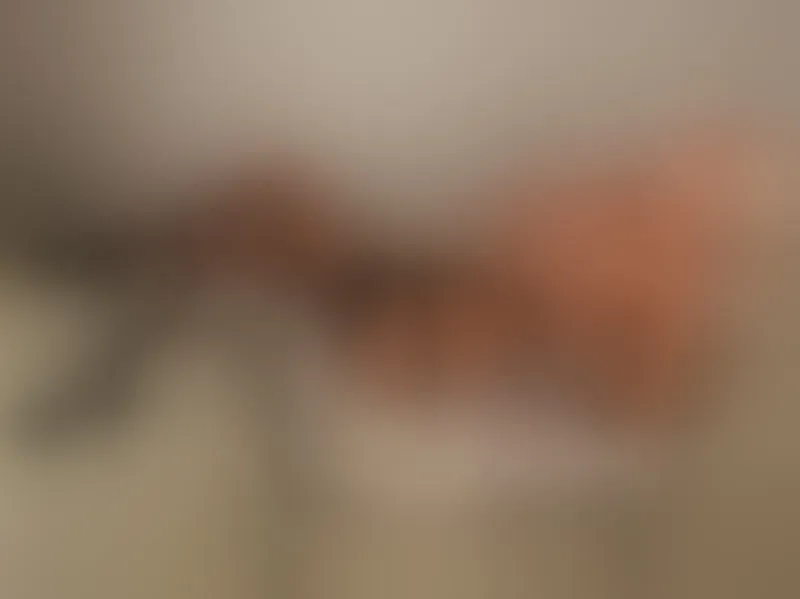 Live sex webcam photo for Alexa_Fay #7820143