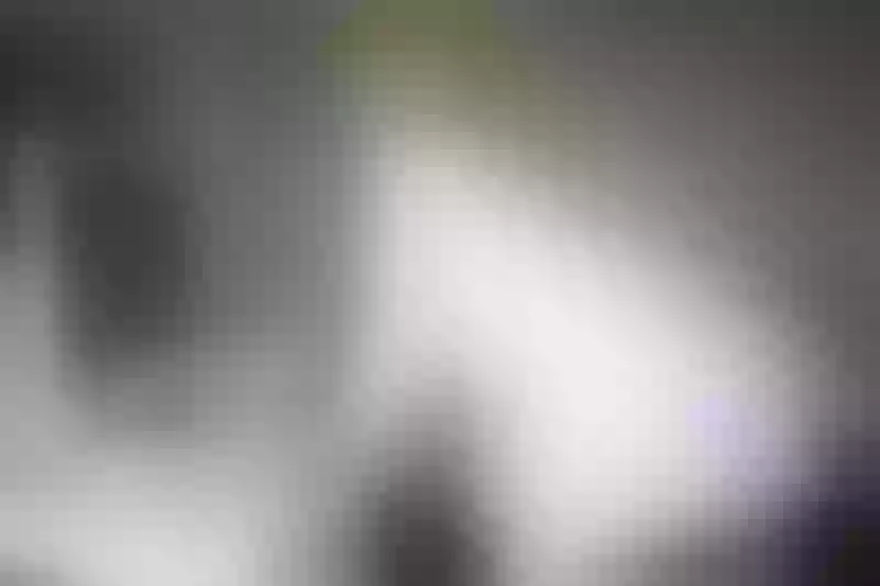 Live sex webcam photo for LuckySara #7772843