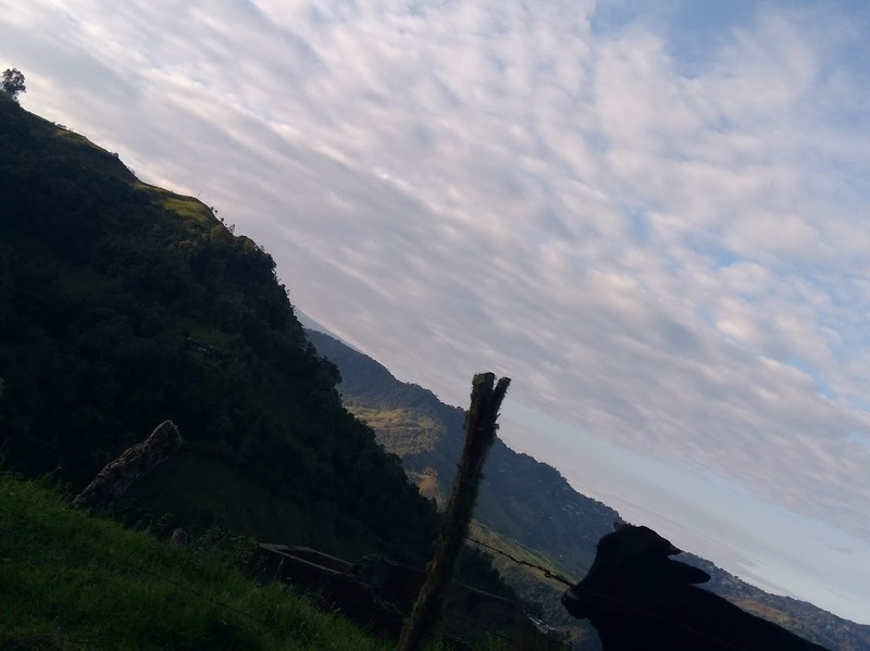 Live sex webcam photo for SamanthaCorreaPaz #7105443