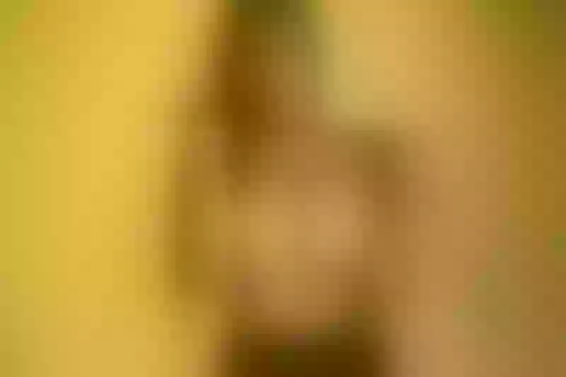 Live sex webcam photo for FaithSteel #1769579