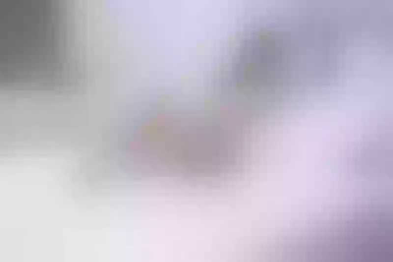 Live sex webcam photo for FaithSteel #1769534