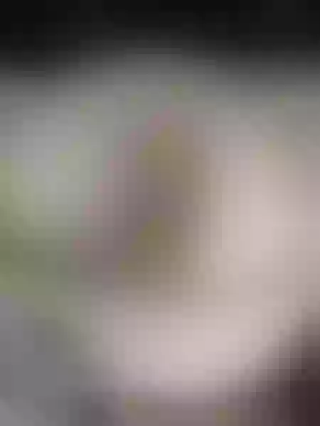 Live sex webcam photo for GoodAssEXtreamX #1859629