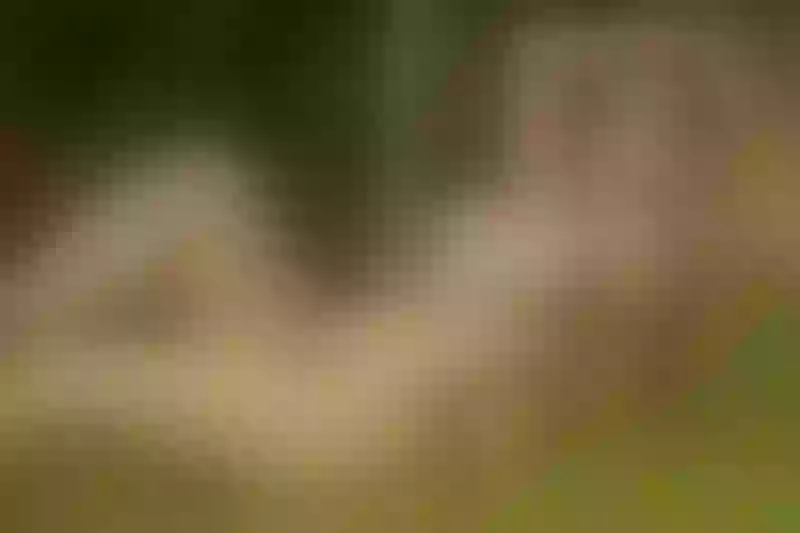 Live sex webcam photo for MiaColeman #2000690